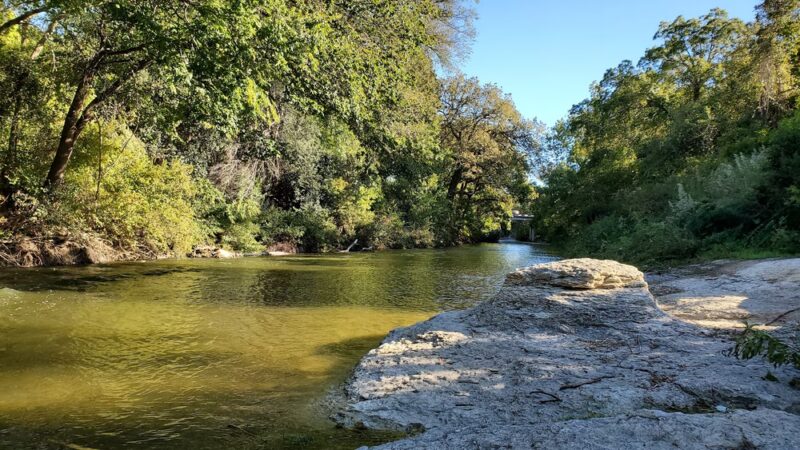Brushy Creek Dog Park - Hutto, TX