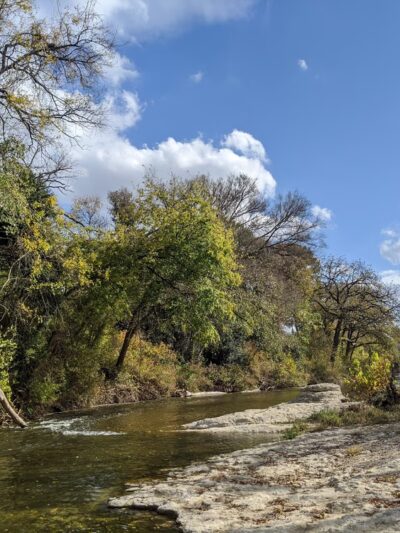 Brushy Creek Dog Park - Hutto, TX