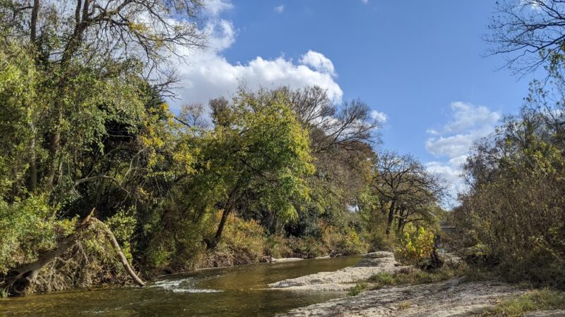Brushy Creek Dog Park - Hutto, TX