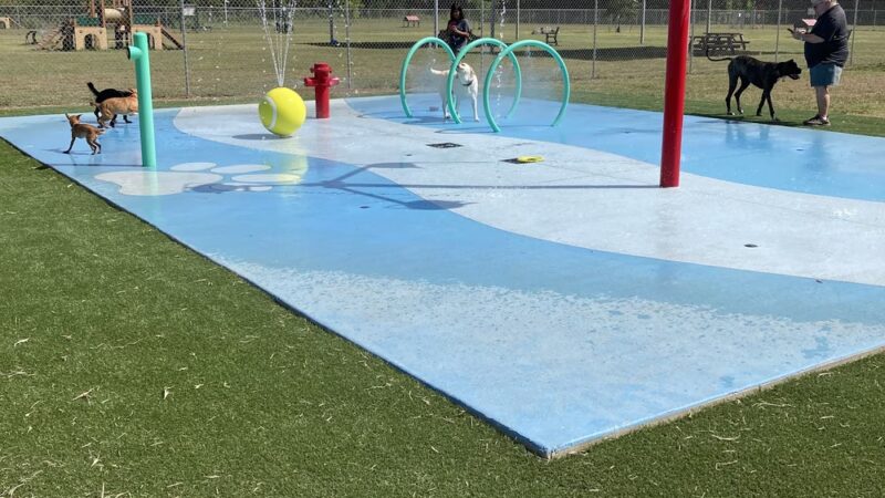 Brushy Creek Dog Park - Hutto, TX