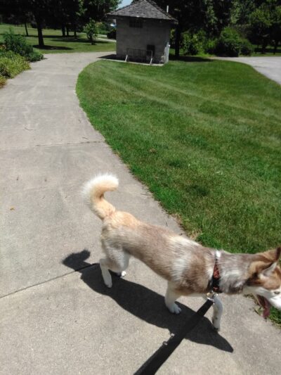 Berhow Park - Huxley, IA