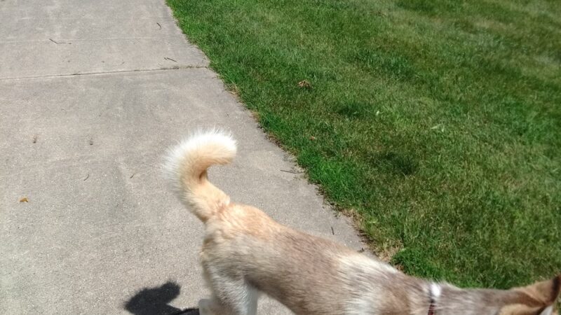 Berhow Park - Huxley, IA