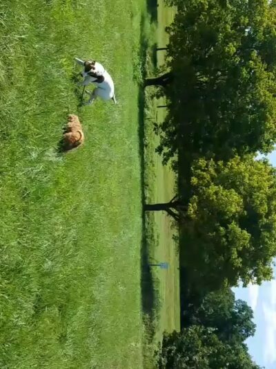 Anacostia River Park - Hyattsville, MD