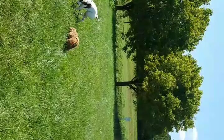 Anacostia River Park - Hyattsville, MD