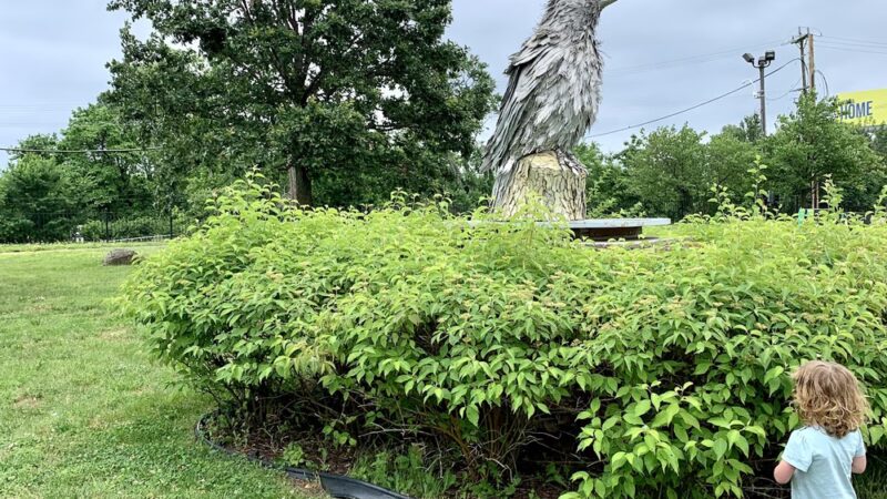 Centennial Park of Hyattsville - Hyattsville, MD