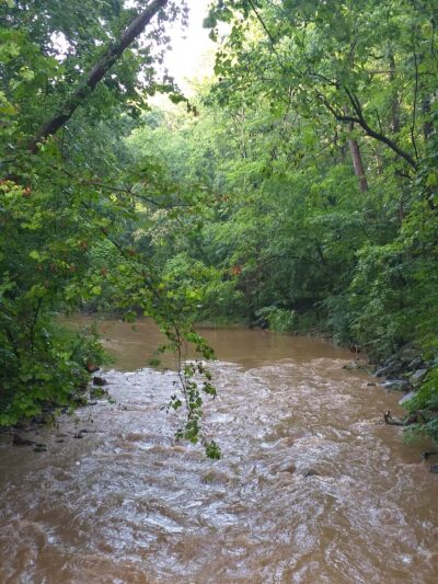 Langley Hampshire Neighborhood Park - Hyattsville, MD
