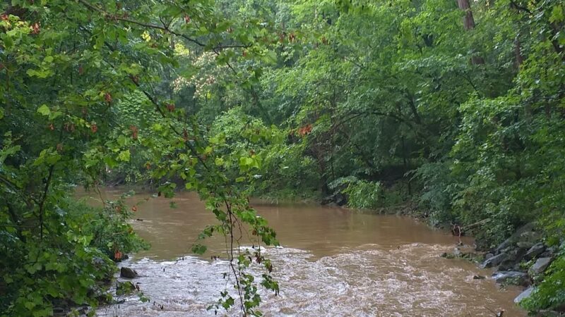 Langley Hampshire Neighborhood Park - Hyattsville, MD