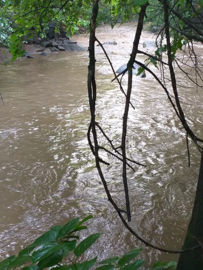 Langley Hampshire Neighborhood Park - Hyattsville, MD