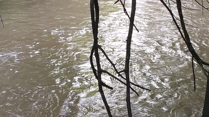 Langley Hampshire Neighborhood Park - Hyattsville, MD