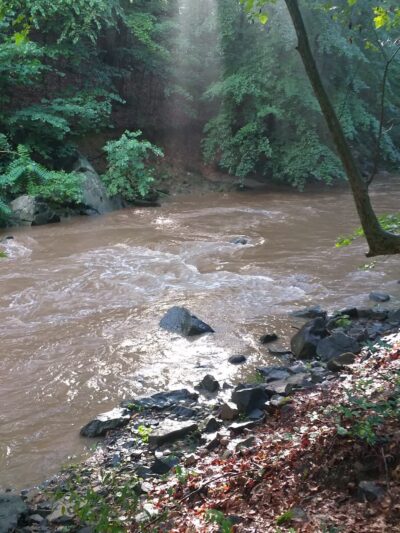 Langley Hampshire Neighborhood Park - Hyattsville, MD