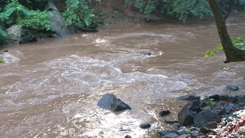 Langley Hampshire Neighborhood Park - Hyattsville, MD