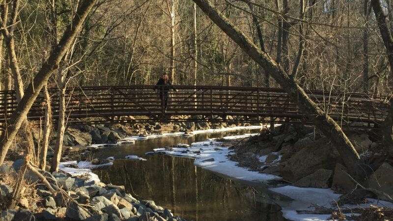 University Hills Park - Hyattsville, MD