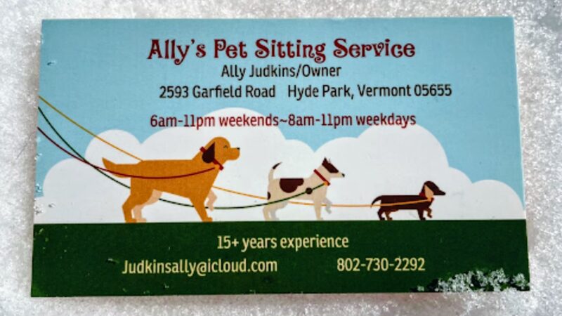 Ally’s Pet Sitting Service - Hyde Park, VT