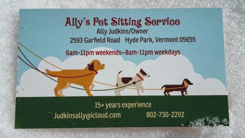 Ally’s Pet Sitting Service - Hyde Park, VT
