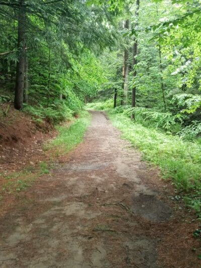 Cricket Hill Trails - Hyde Park, VT