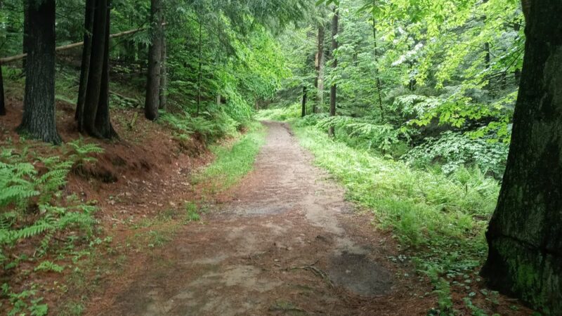 Cricket Hill Trails - Hyde Park, VT