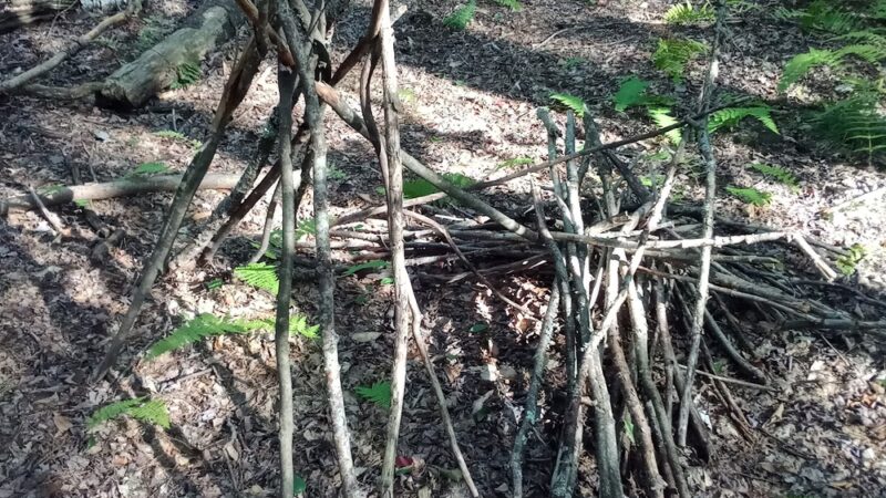 Cricket Hill Trails - Hyde Park, VT