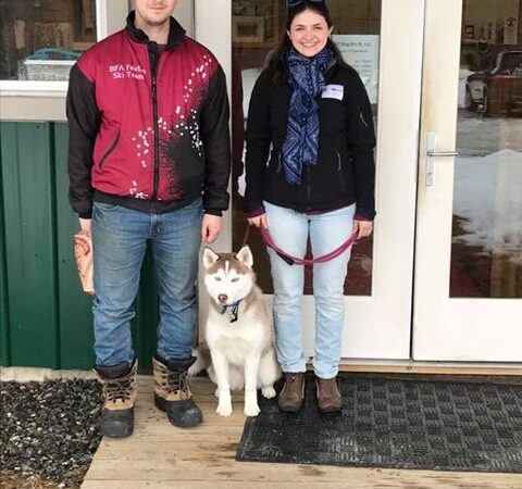 Vermont Dog Trainer - Hyde Park, VT