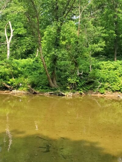 Hyden City Park - Hyden, KY