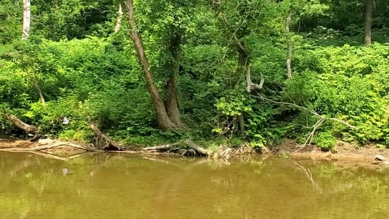 Hyden City Park - Hyden, KY