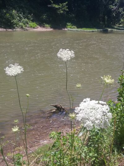 Riverfront Park - Hyden, KY