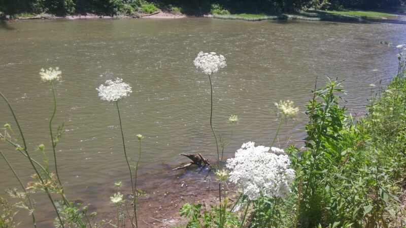 Riverfront Park - Hyden, KY