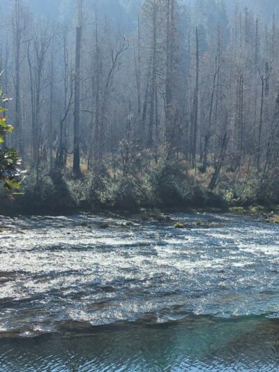 Susan Creek Day Use Area - Idleyld Park, OR