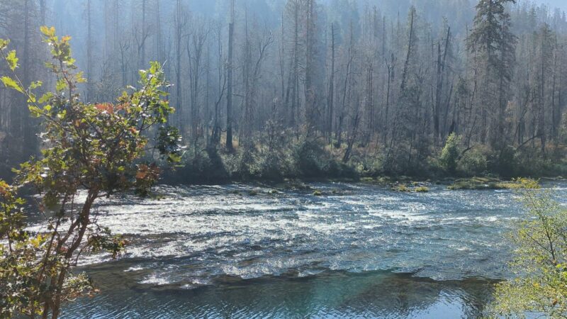 Susan Creek Day Use Area - Idleyld Park, OR