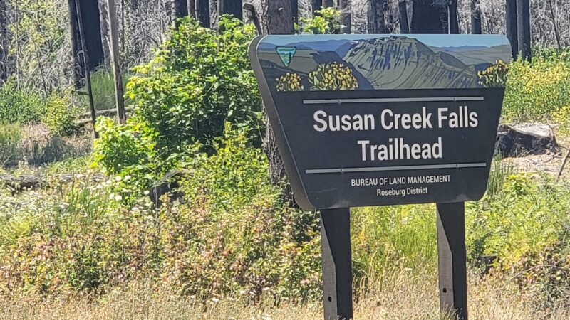 Susan Creek Day Use Area - Idleyld Park, OR
