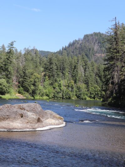 Susan Creek Day Use Area - Idleyld Park, OR