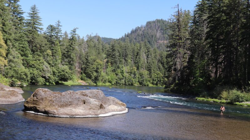 Susan Creek Day Use Area - Idleyld Park, OR