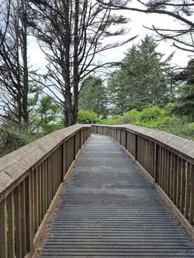 Bell's View Trail - Ilwaco, WA
