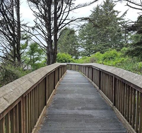 Bell's View Trail - Ilwaco, WA