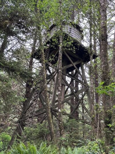Bell's View Trail - Ilwaco, WA