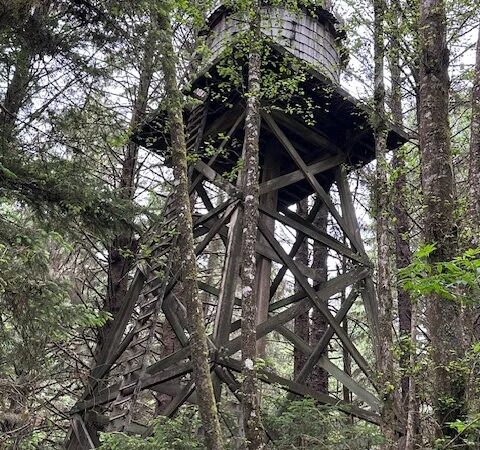 Bell's View Trail - Ilwaco, WA