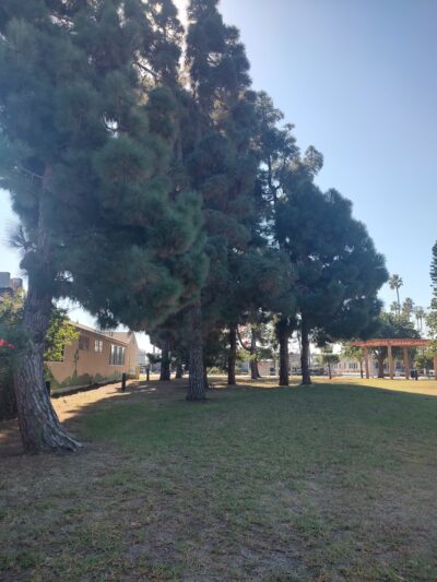 Imperial Beach Dog Park - Imperial Beach, CA