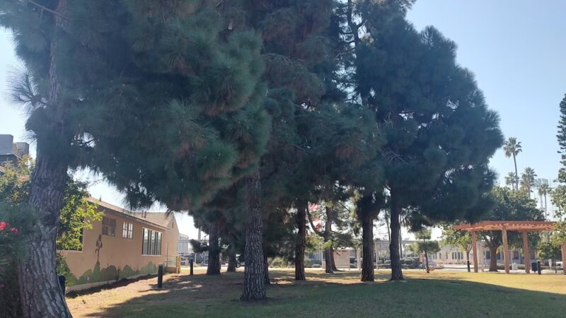 Imperial Beach Dog Park - Imperial Beach, CA