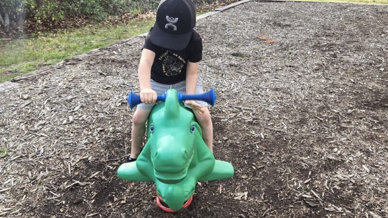 Grayson County Recreation Park - Independence, VA