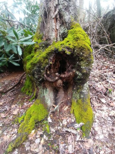 Grayson County Recreation Park - Independence, VA