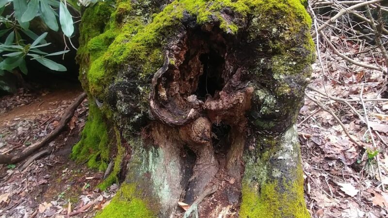 Grayson County Recreation Park - Independence, VA