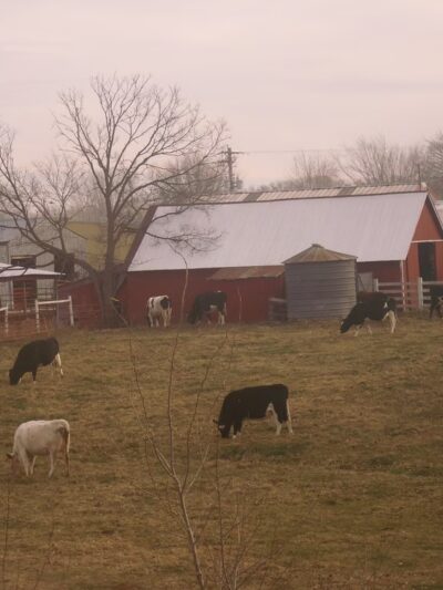 Four Seasons Park - Independence, WI