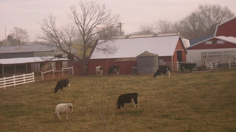 Four Seasons Park - Independence, WI