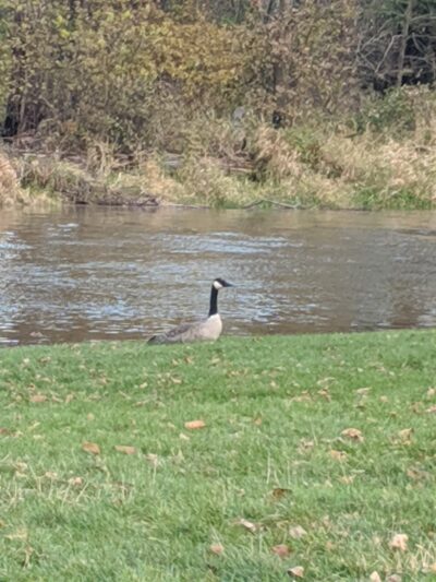 Four Seasons Park - Independence, WI