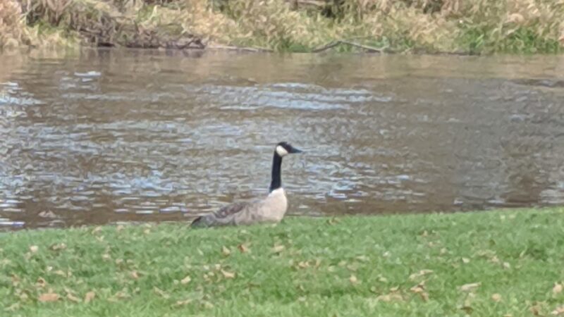 Four Seasons Park - Independence, WI