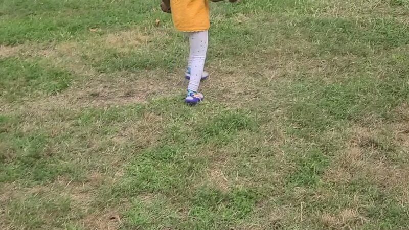 Village Green Park - Indian Head, MD