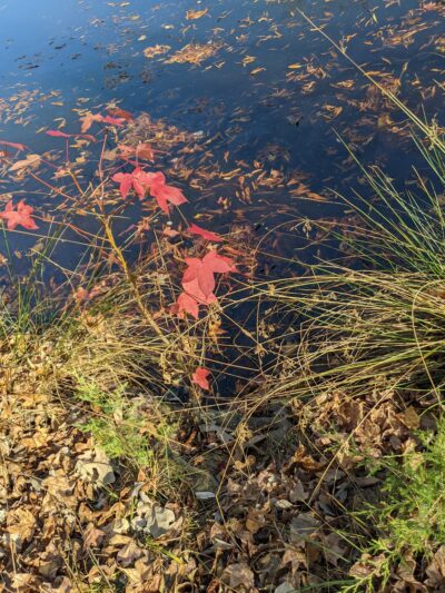 Fred Kirby Park - Indian Trail, NC
