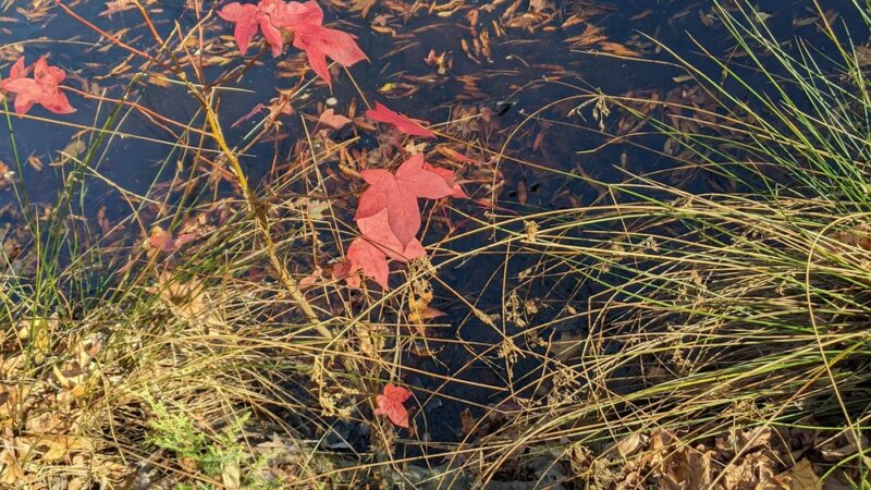 Fred Kirby Park - Indian Trail, NC