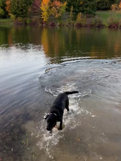 Blue Spruce Park - Indiana, PA