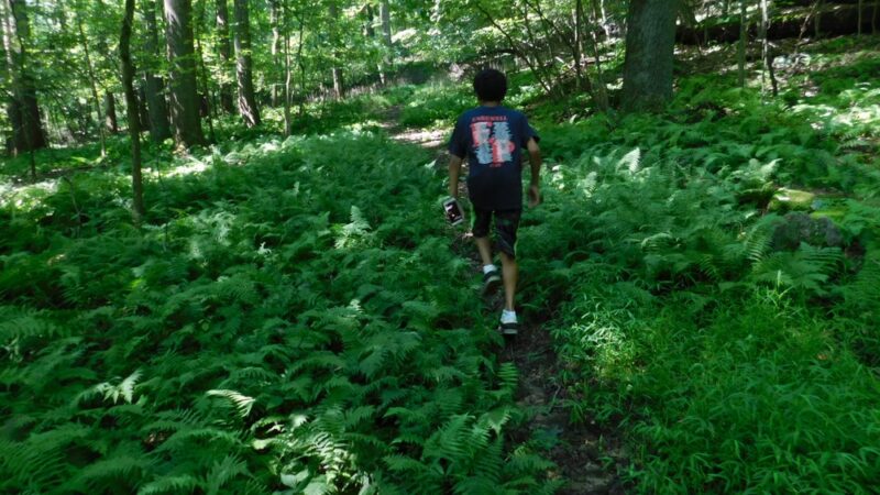 Fourth Ward Park - Indiana, PA