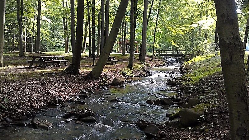 Indiana County Parks & Trails - Indiana, PA